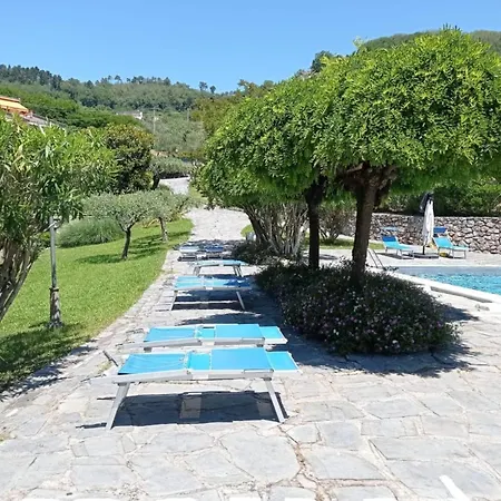 公寓 Casa Degli Ulivi - Mytouristhome 莱里奇